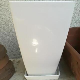 観葉植物用プランター