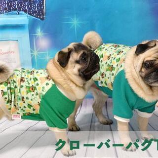 犬服教室