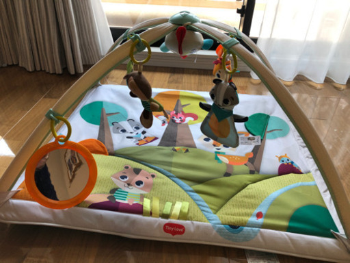 ジミニーデラックス イントゥザフォレスト