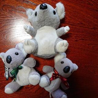 コアラのぬいぐるみの画像