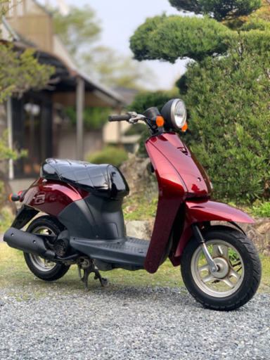 処分価格3万5千円赤字級値下げ‼️ 近日掲載終了‼️早い者勝ち・実動不具合なし‼️新品パーツ多数‼️配達可能‼️新品外装‼️新品シート‼️新品バッテリー‼️HONDA トゥデイ‼️50cc 原付　バイク　原チャリ　書類アリ