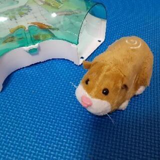 美品ハムスターオモチャの画像