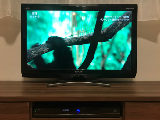 【取りに来れる方限定】SHARP AQUOS 32型