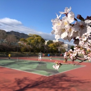メンバー募集(初心〜初中級)