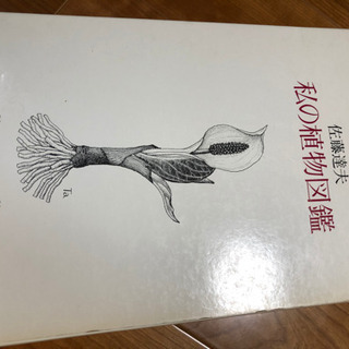 佐藤達夫　　私の植物図鑑