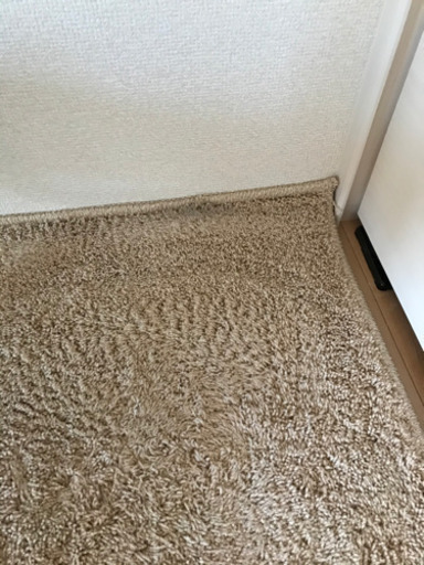 防ダニカーペット