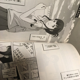 性同一性 手術までの奮闘記 マンガの画像