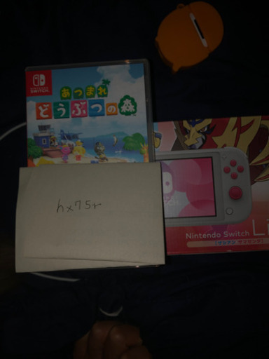 Switch light どうぶつの森セット