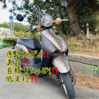 ⭐️ホンダ トゥデイ原付⭐️美品‼️低走行‼️格安‼️AF67！...