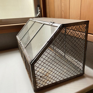 ガラス　プランター用ケースの画像