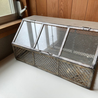 ガラス　プランター用ケースの画像