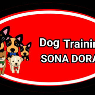 犬のしつけ　オンラインドッグトレーニング　問題行動改善