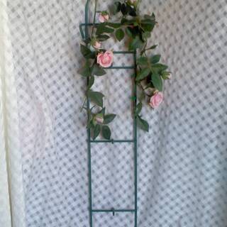 ピンク　薔薇　縦約 51.3cm×横約 10cm　ローズ　…