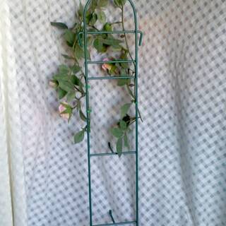 ピンク　薔薇　縦約 51.3cm×横約 10cm　ローズ　収納　フックの画像