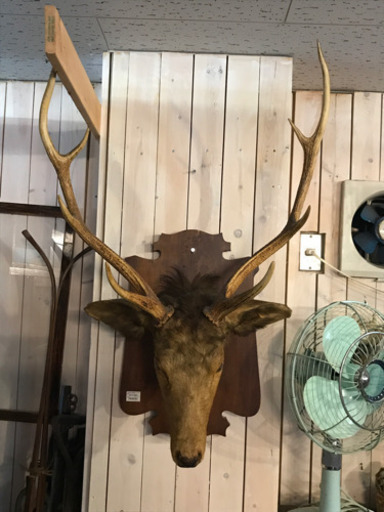 JF00247 シカトロフィー　鹿撃ち　剥製　壁掛　オブジェ（レトロ　ビンテージ　アンティーク