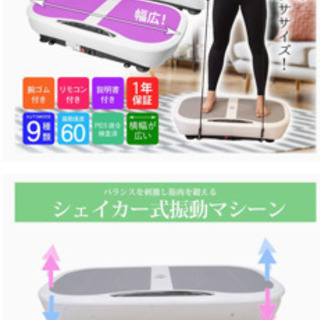 5分乗るだけダイエット！振動マシン RAJA FIT SLIMMER PSE認証済 シェイカー 式 振動 マシンの画像