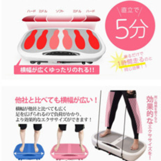 5分乗るだけダイエット！振動マシン RAJA FIT SLIMMER PSE認証済 シェイカー 式 振動 マシンの画像