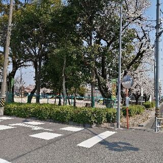 若草コミュニティプールの画像