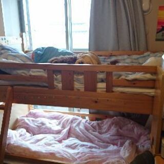 2段ベッドの画像