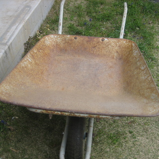 一輪車ネコの画像