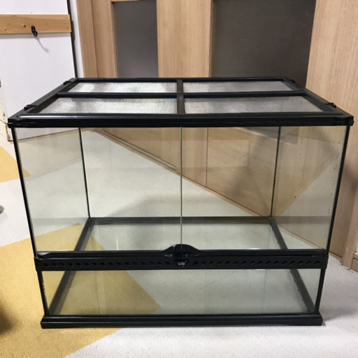 エキゾテラ グラステラリウム 6045 GEX