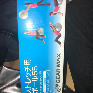 バランスボール　の画像