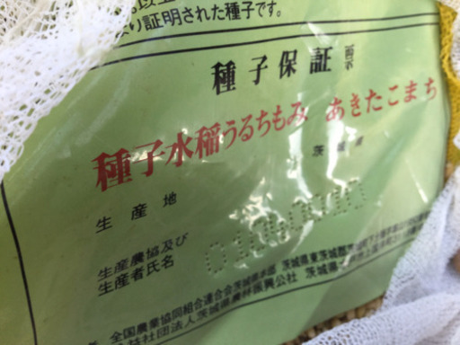 種子籾お譲りします