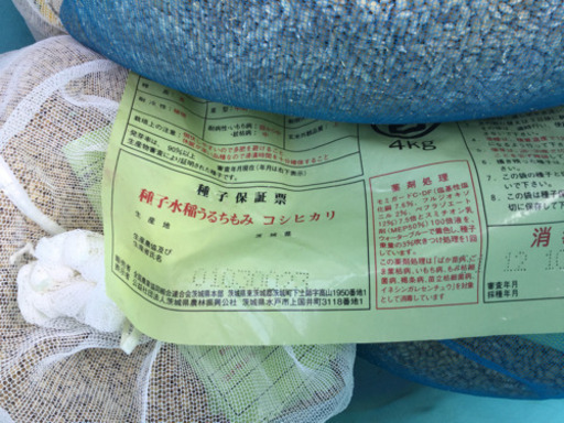種子籾お譲りします
