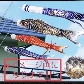 🎏ﾍﾞﾗﾝﾀﾞ用 鯉のぼり🎏