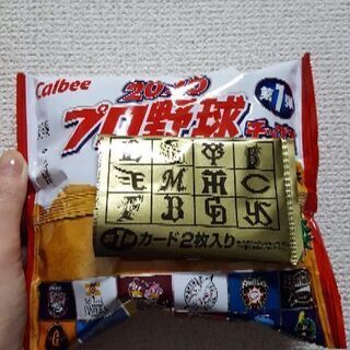 プロ野球チップス（問い合わせ殺到中）