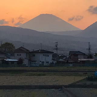 ネイティブ講師による英会話レッスン🧑🏻‍🦱
