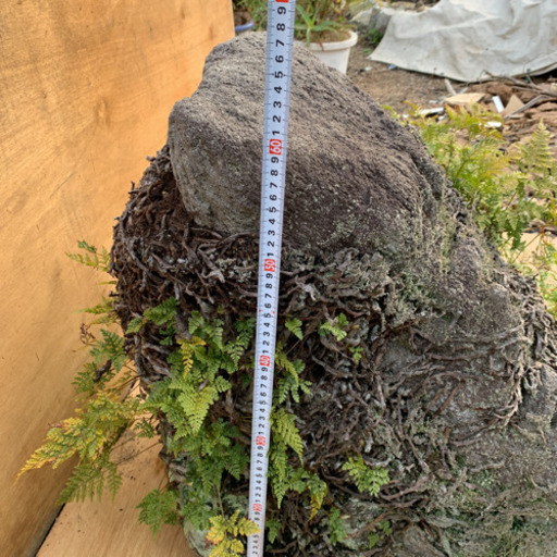 植木　盆栽　庭石　