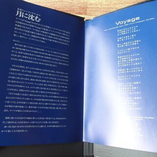 DVD 浜崎あゆみ 「月に沈む」 Voyageの画像