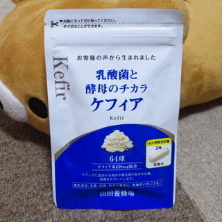 ★☆★【新品未開封!!送料込み!!】乳酸菌と酵母のチカラ ケフィ...