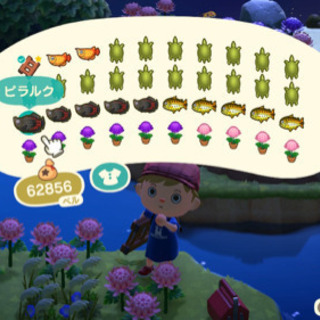 あつまれどうぶつの森　フレンド募集