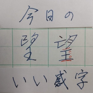 万年筆で「いい感字」　今日は「希望の望」　２０２００４１３　ペン...