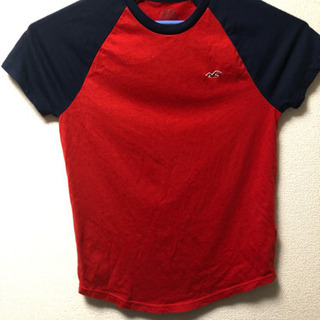 【ホリスター】Tシャツ メンズ