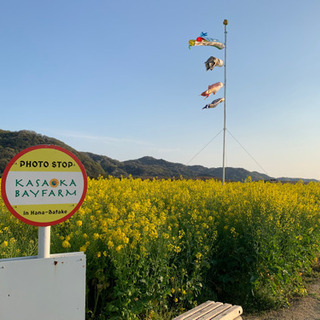 岡山LINEグルチャメンバー大募集(  ｰ̀֊ｰ́ )✧現在50名