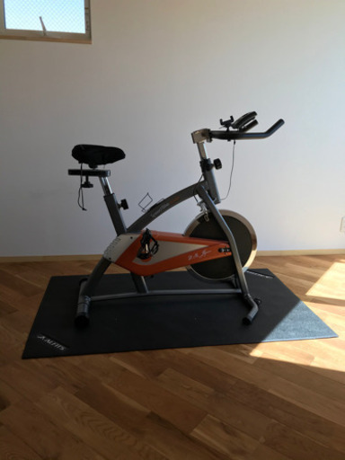 speed bike bc4620 本格エアロバイク