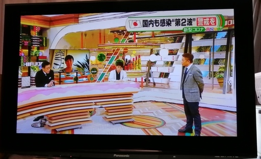 値下げしました！panasonic プラズマテレビ46型 ハードディスク内蔵 1TB ２画面 viera 2009年製