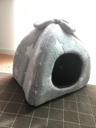 キャットハウス