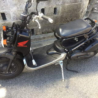 完売しました！ズーマー キャブ車両 