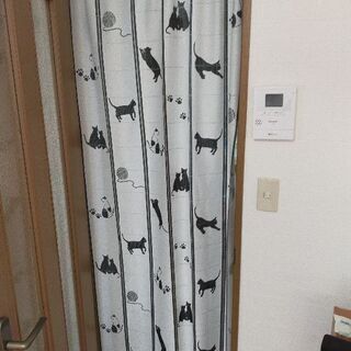 猫 のれん