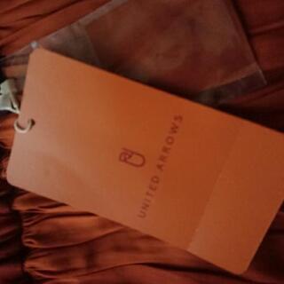 【値下げ‼️】(未使用)ユナイテッドアローズ  ロングスカートの画像