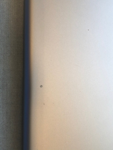 安く譲ります　ipad air 16gb  即使用可能　完動品 