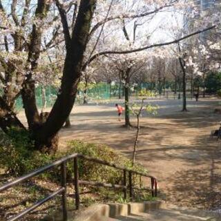 ※募集終了※【【👧女性限定👧 | 新宿区あたり】公園でボール遊びしませんか？ − 東京都