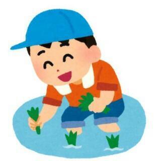 田植え 全力でお手伝いします