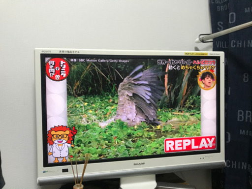 シャープ37インチ　2008年式