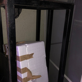 人気絶頂期のKARA初出場時の紅白出演記念の直筆サイン入りクリア