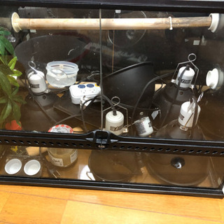 爬虫類ケージとその他色々の画像